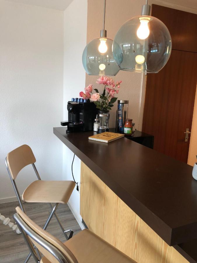Grosses Appartement Mit Aussichtsbalkon Ludwigsburg Ngoại thất bức ảnh
